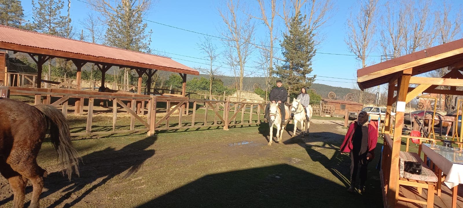 At Çiftliği küçük 2