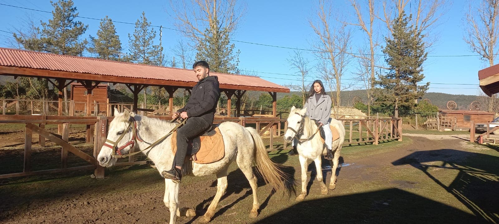 At Çiftliği küçük 7