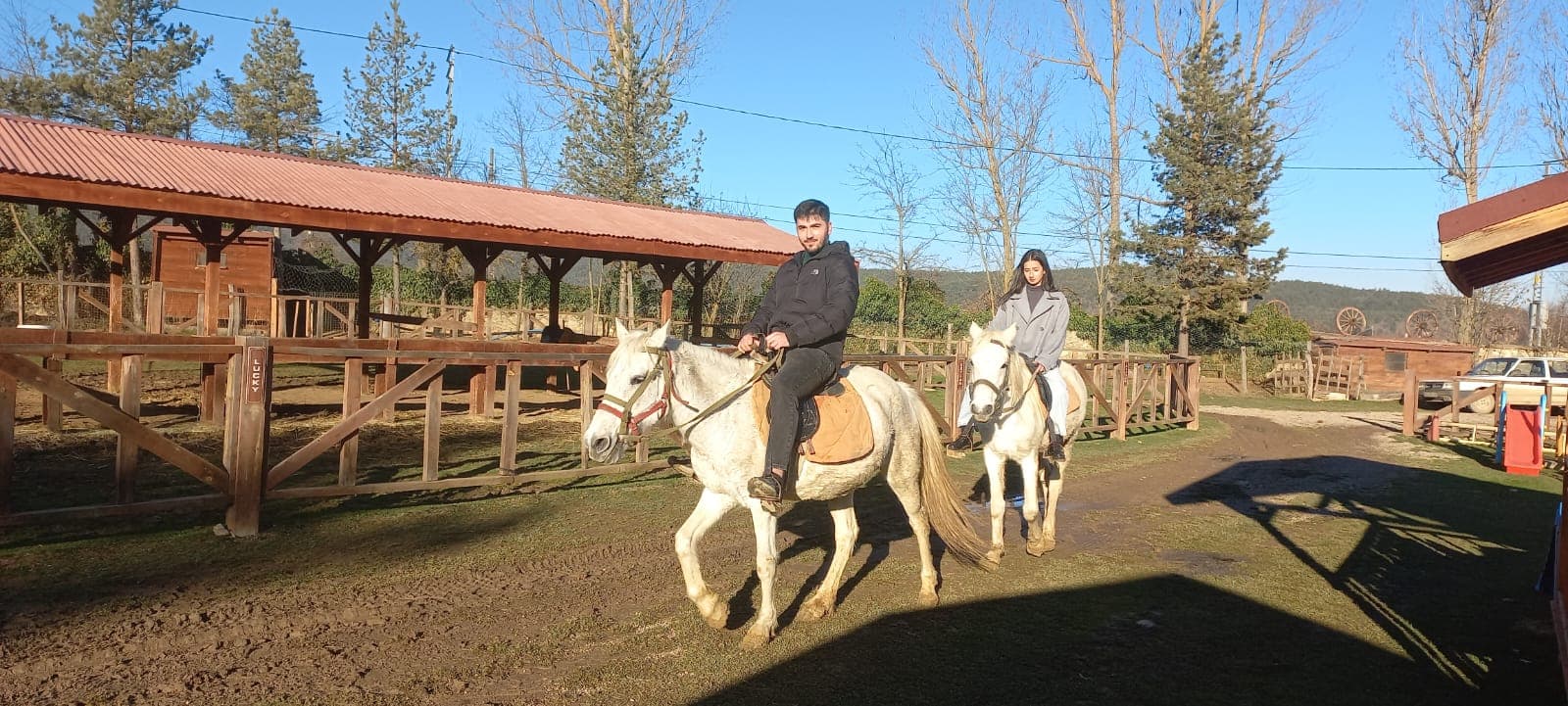 At Çiftliği küçük 8
